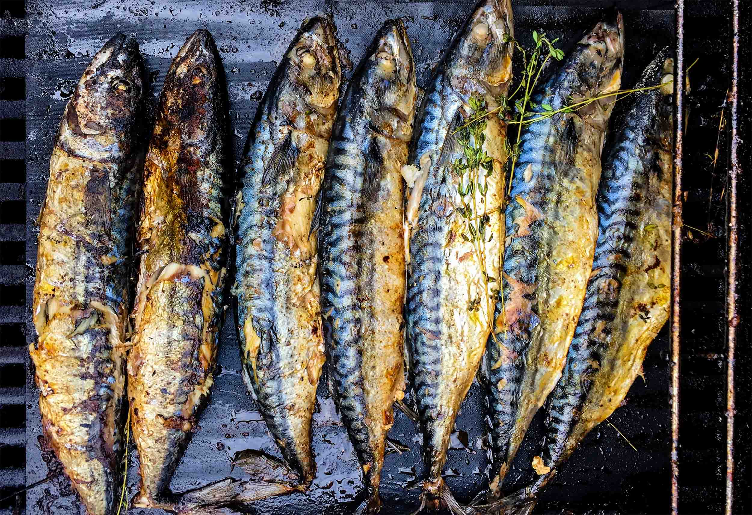 Produktbild: Mood grillfisch 3