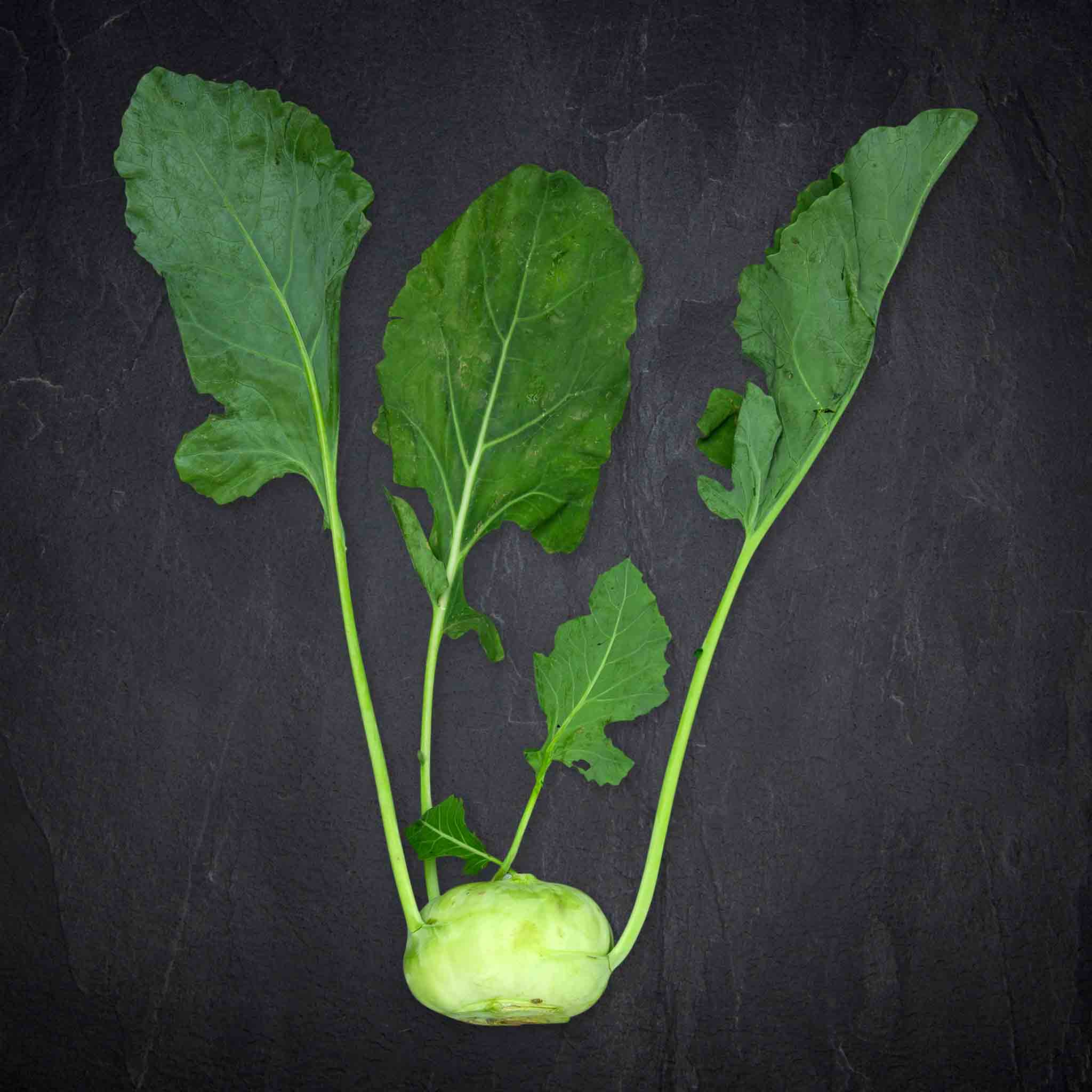 Kohlrabi