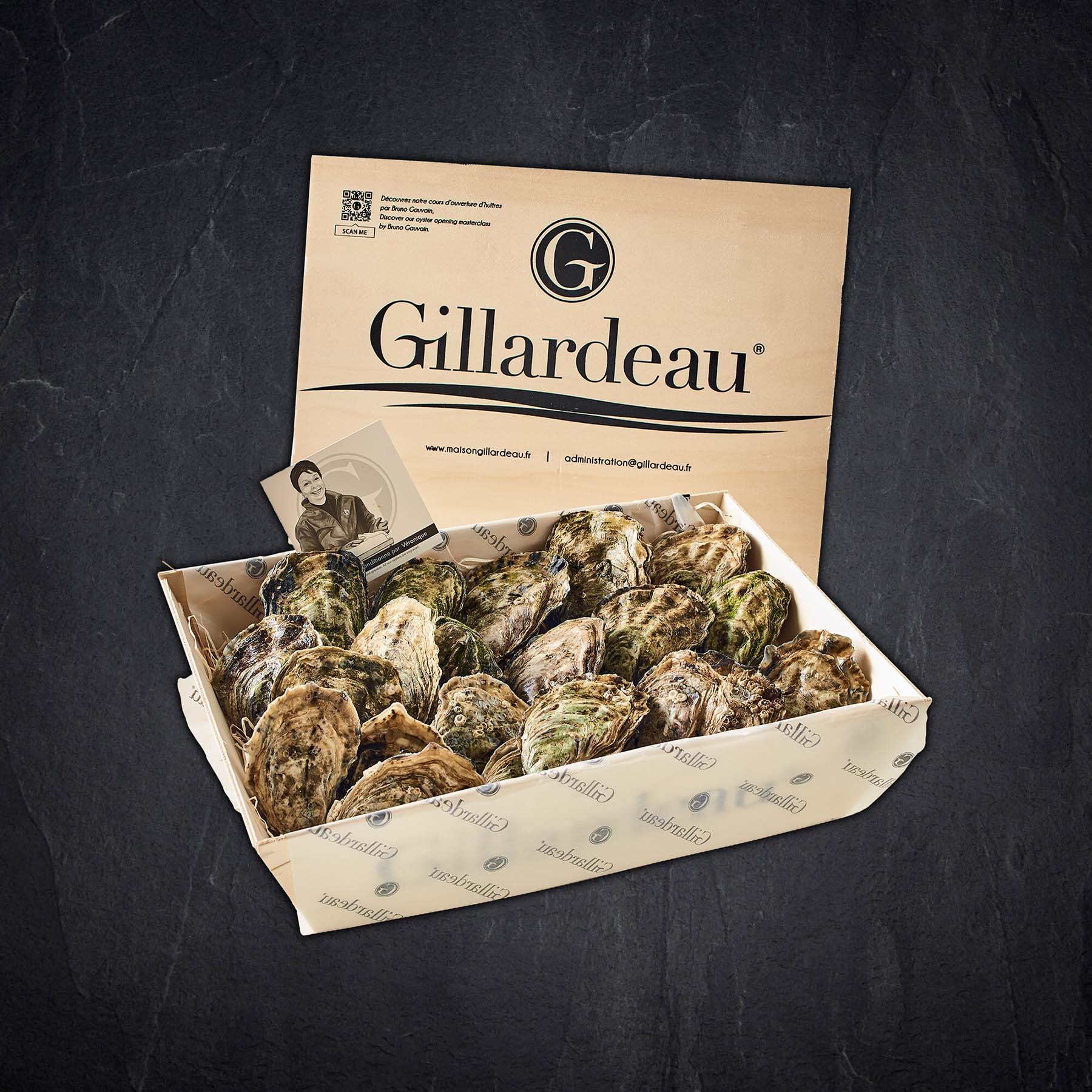 Austern Gillardeau M | 12er Korb