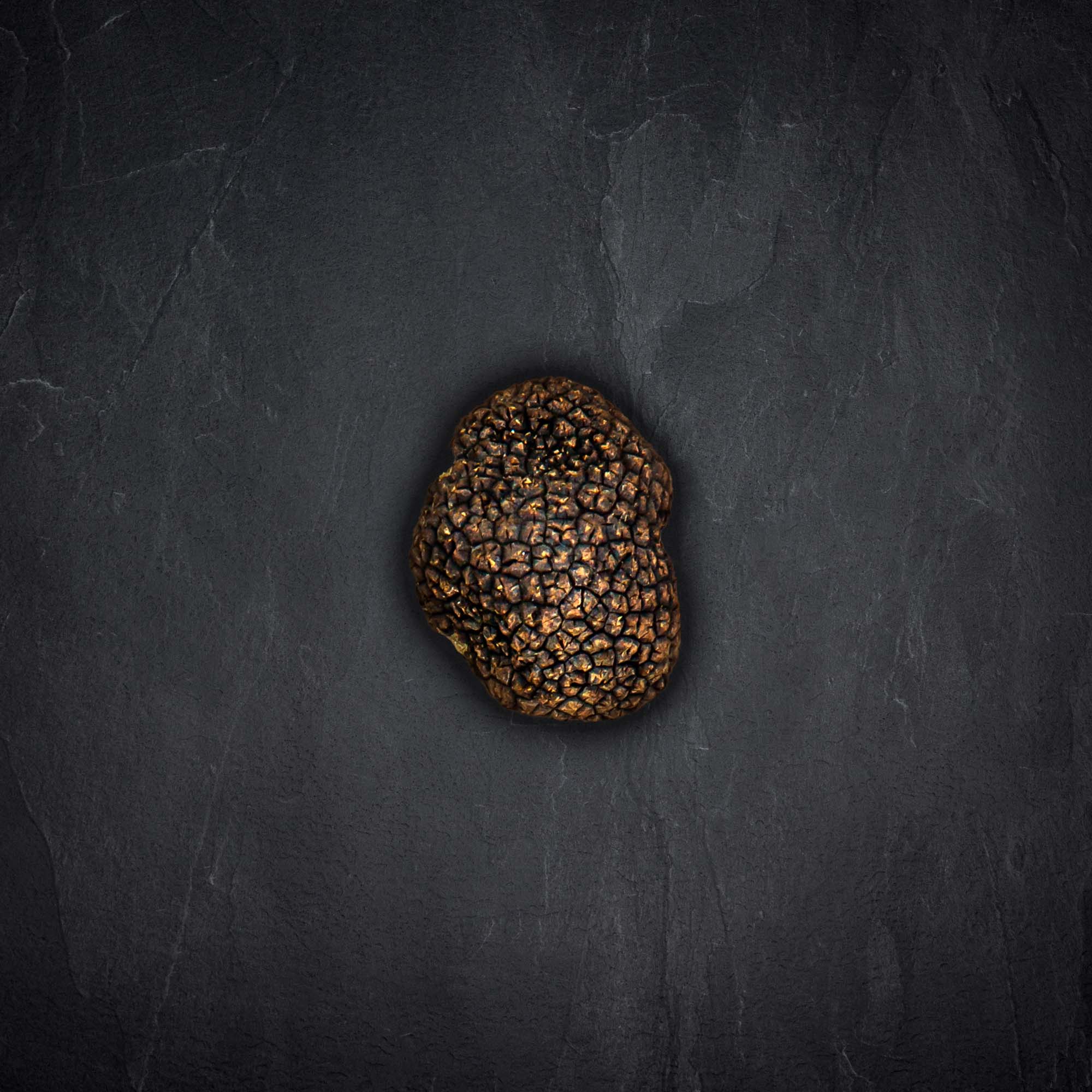 Produktbild: 111826_herbst_trffel_schwarz