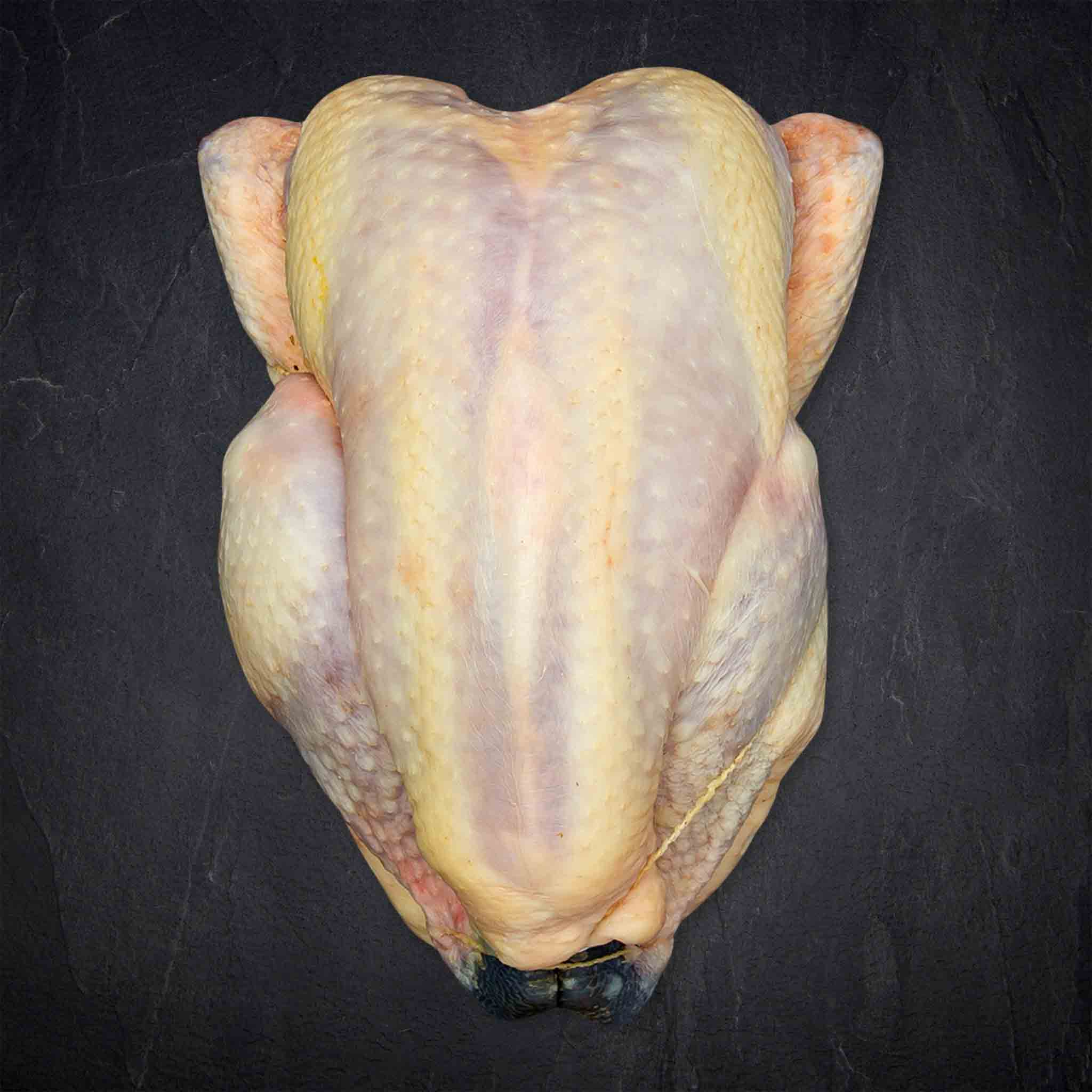 384163_Geflu_gel_Bresse_Ha_hnchen_1_5kg_SB_Frankreich__5__2_B2BFP
