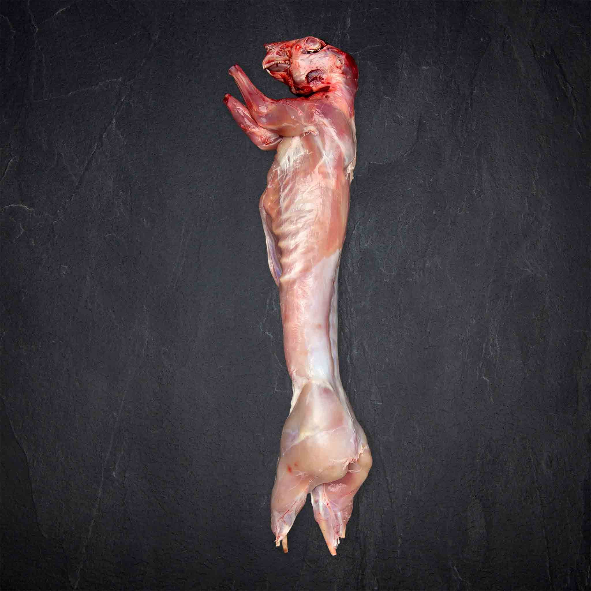 362477_Fleisch_Kaninchen_ganz__9__B2BFP