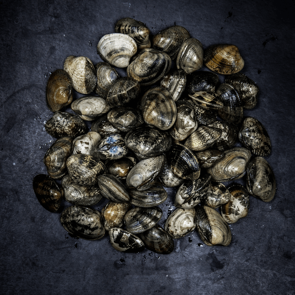 Produktbild: FP Teppichmuschel, Vongole Veraci