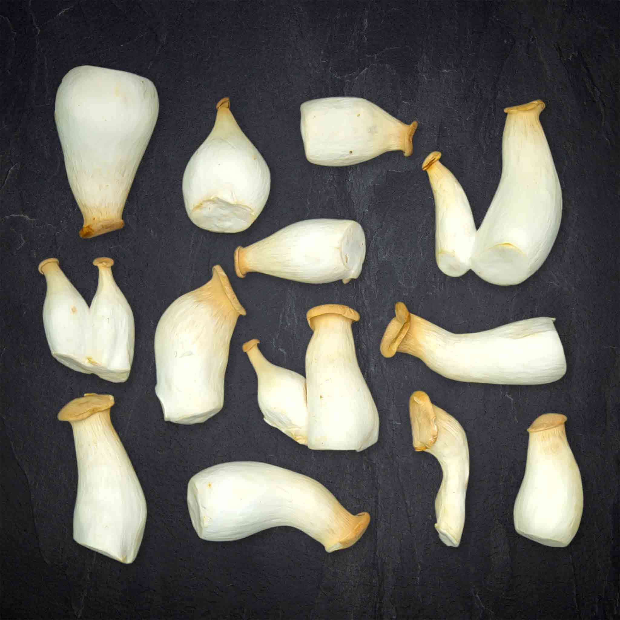 Produktbild: 920400_Gemu_se_BIO_Kra_uterseitlinge_mini_kg_Deutschland