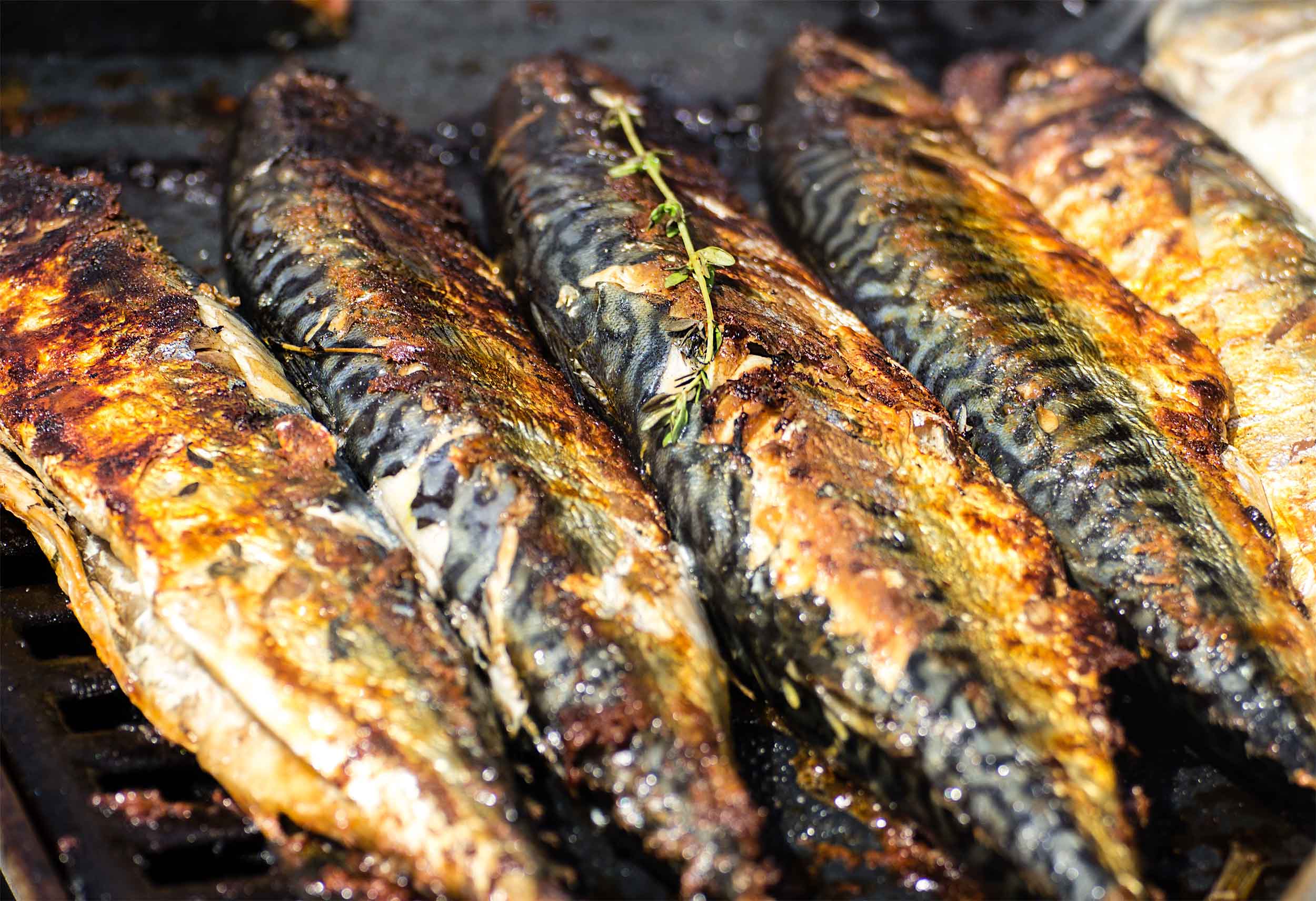 Produktbild: Mood grillfisch 2