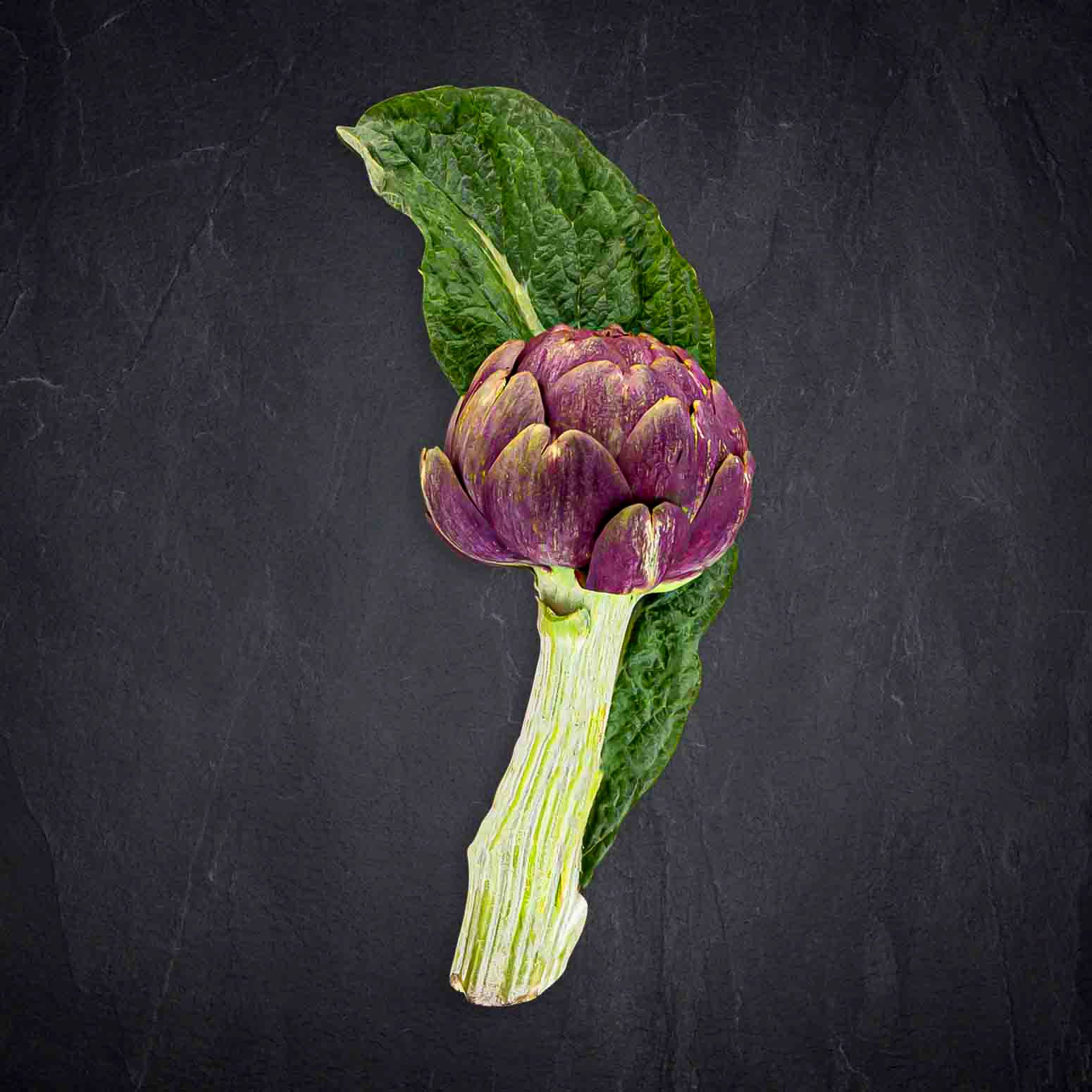 Produktbild: 221736_Artischocke_Mamme