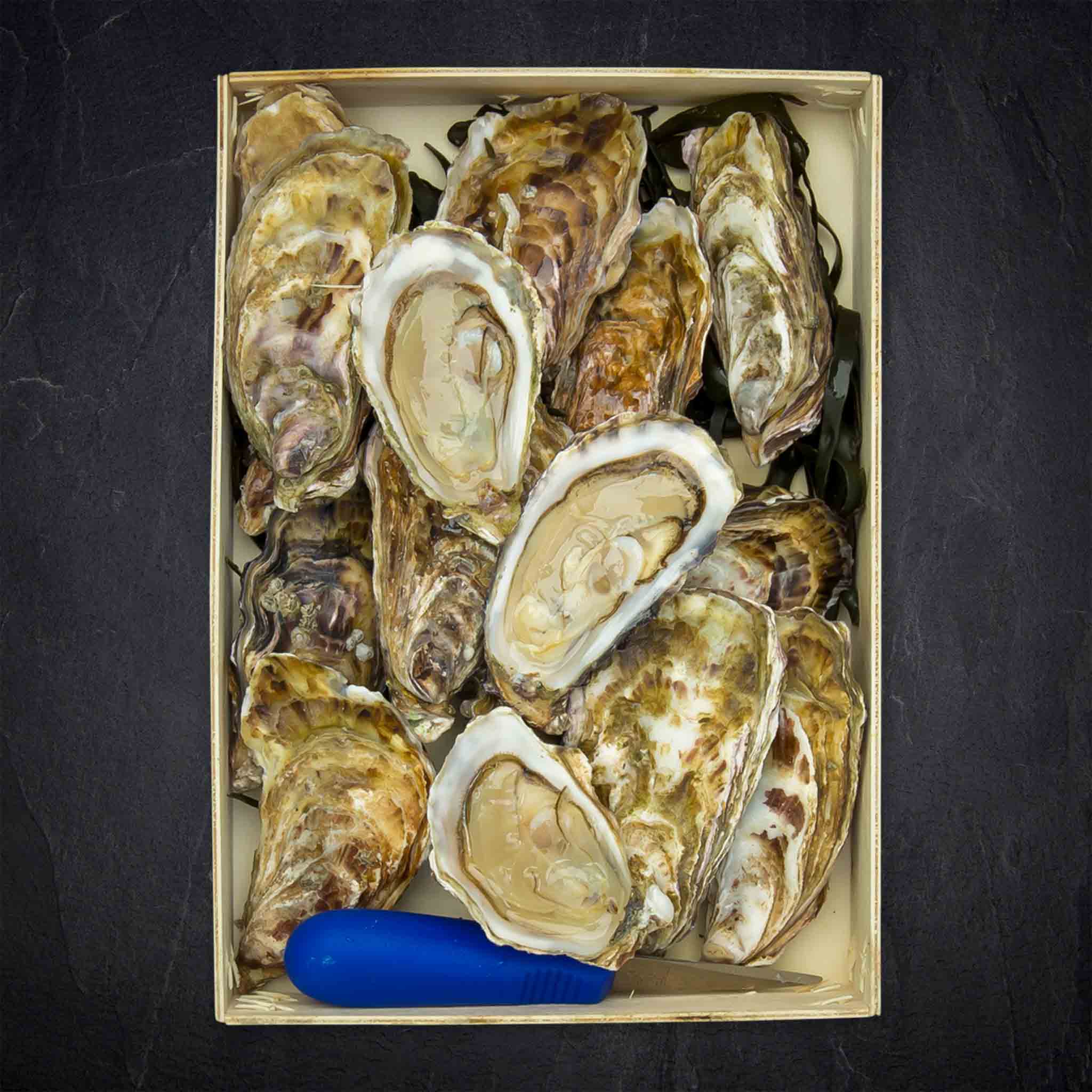 834569_Fisch_FP_Austern_Perles_Michel_M_12_Messer_Frankreich_23_B2BFP