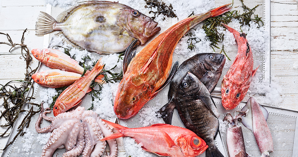 Pulpo, Knurrhahn, St. Pierre und Dorade auf Eis gelegt. Ergaenzt durch Tintenfische und weiteren Fischen