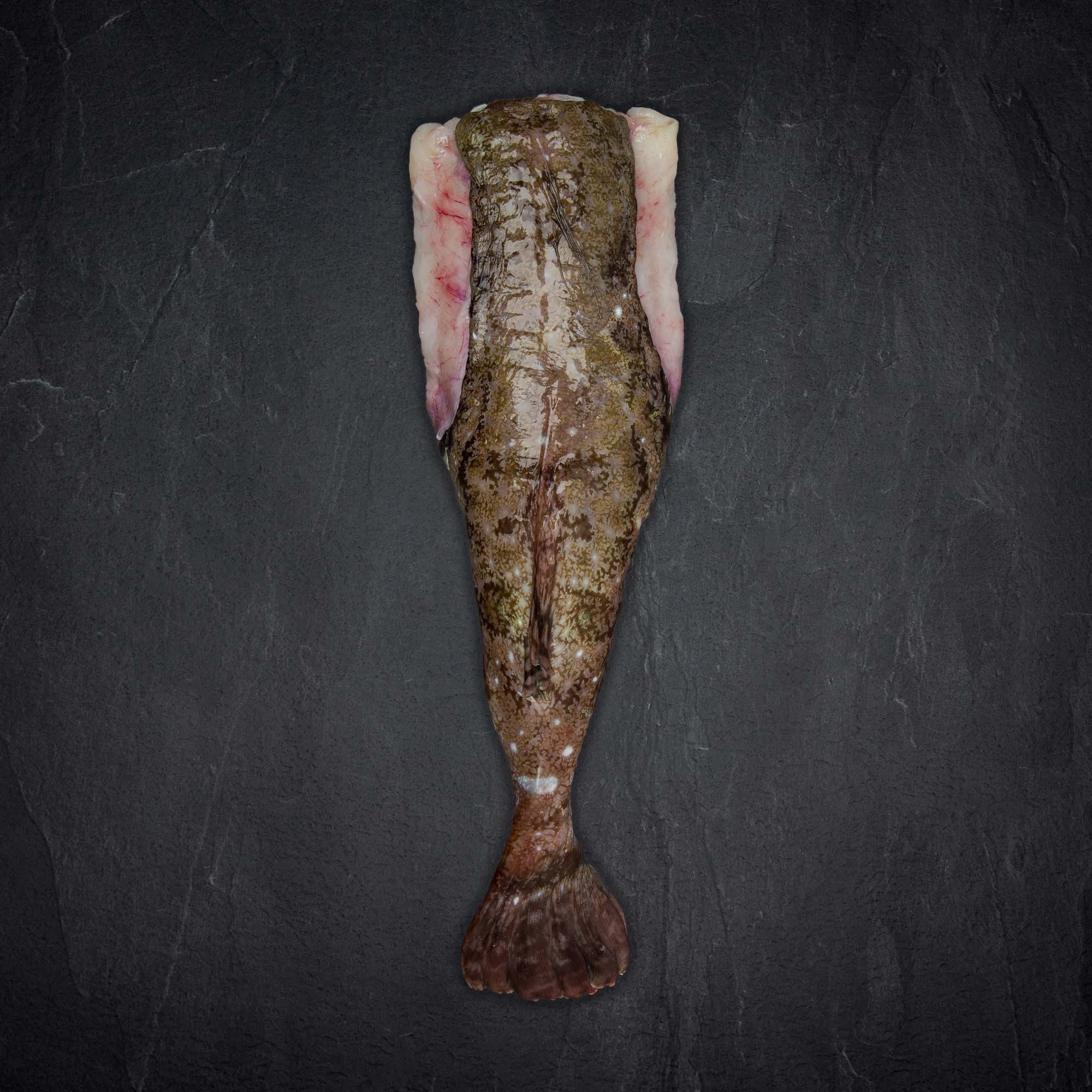 Produktbild: Seeteufel ganz ohne kopf