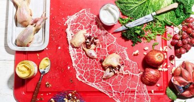 Wachtel, Taube & Stubenküken