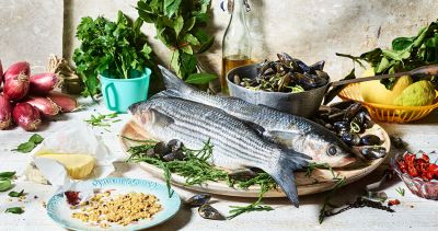 Salzwasser Fische