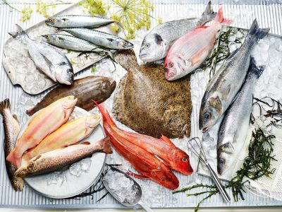 Premium Fisch